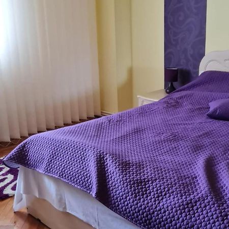 Apartament Cu 2 Camere Spatioase In Centrul Orasului - Andrei Brăila Exterior foto